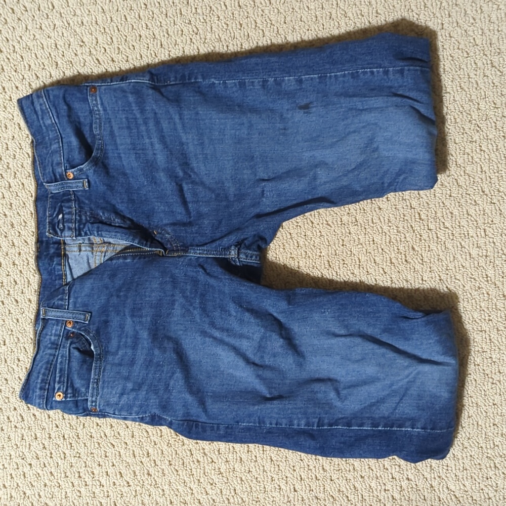 Levi's 510 Blue Jeans 32x29